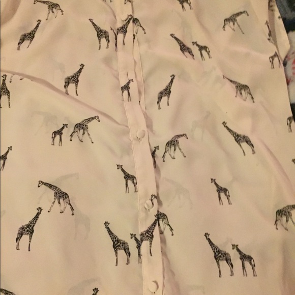 Torrid size 1 blouse - Picture 3 of 3